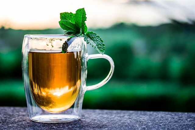 Teetasse im Garten tee-infos.de Sidebar